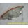 Porsche 993 Blinkleuchte gelb links gebraucht 99363107100 #9148-0657-04