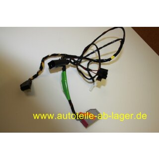 Porsche 997 Turbo GT3 Boxster Cayman 987 Kabelstrang Türtafel Beifahrerseite rechts gebraucht 99761261157 #9290-0654-2