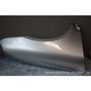 Porsche 955 Cayenne 9PA Kotflügel vorne rechts gebraucht 95550303201 #87586-H17