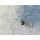 Porsche Deckel seitlich Einstellung Scheinwerfer links NEU 95550431300 #MS8095